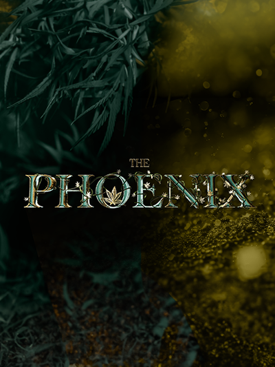 The Phoenix S01 <span class="status-badge status-completed">COMPLETED</span>